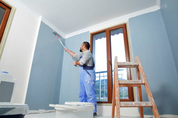 Best Mold Documentation for Insurance Claims  in Norway, MI