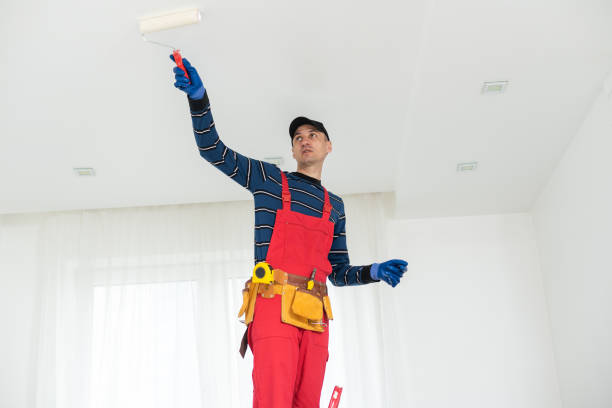 Best Water Damage & Mold Remediation  in Norway, MI