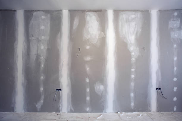 Best Commercial Mold Inspection  in Norway, MI